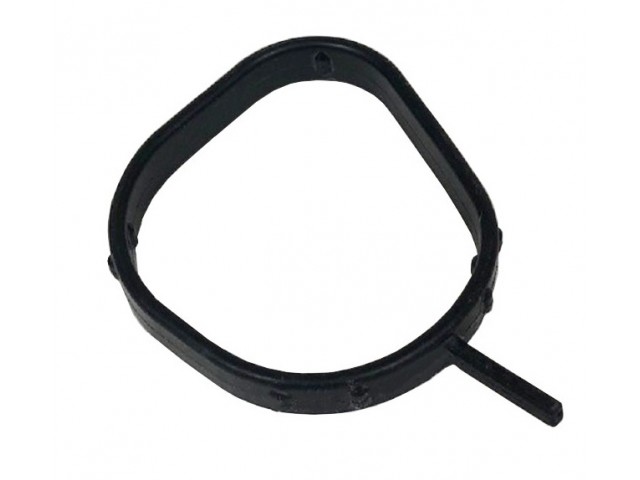 Sigma 125 Gasket