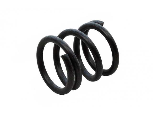 BRAKE SHOE HOLD DOWN SPRING