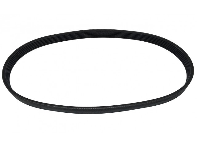 Alternator Belt, Horse