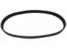 Alternator Belt, Horse