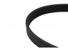 Alternator Belt, Horse