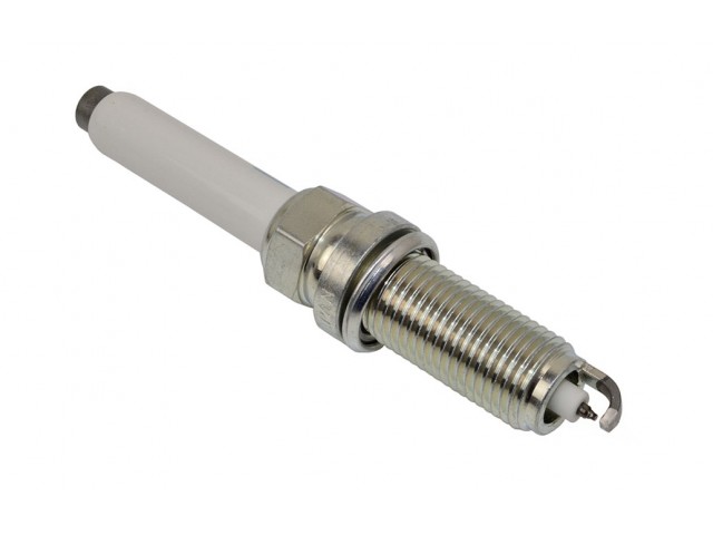Spark Plug, Horse