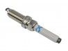 Spark Plug, Horse