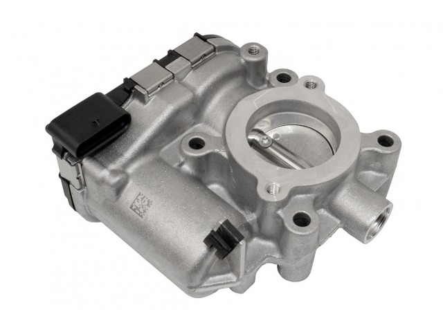 Throttle Body, Horse