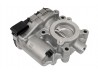 Throttle Body, Horse