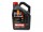MOTUL ENGINE OIL 5W40 5L - ACADEMY 2026 HORSE