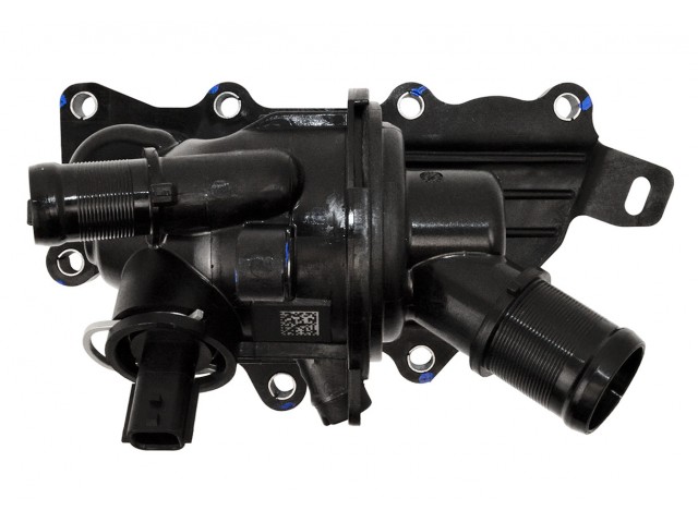 Thermostat and Housing, Horse