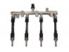 Fuel Rail and Injectors, Horse