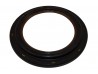 Crankshaft Coupling End Seal Ring, Horse