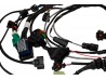 Seven 275 Engine Loom