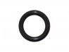 Duratec Wet Sump Dipstick O-Ring