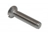 Brooklands Screen Screw