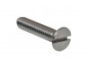 BROOKLANDS SCREEN SCREW