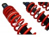 420 CUP Damper Kit