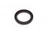 Crank Pulley Seal for Duratec