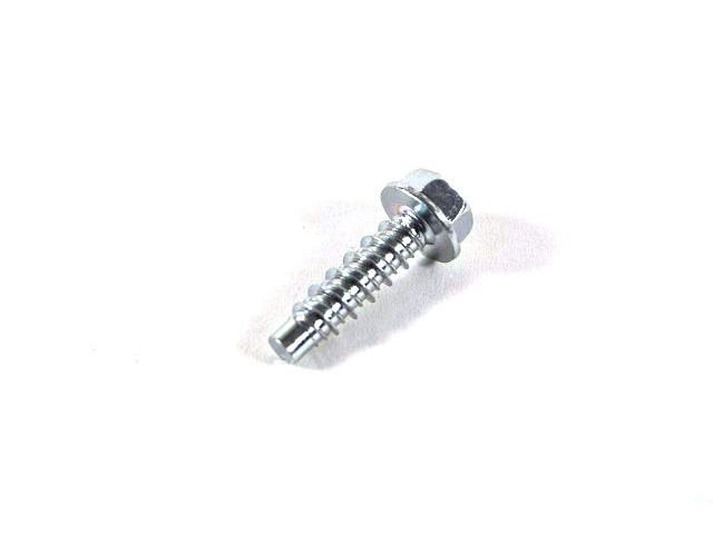 FUEL RAIL RETAINING SCREW