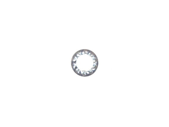 M6 Shake Proof Washer