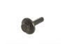 Crankshaft Pulley Bolt