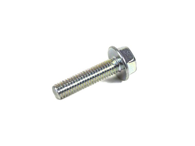 M6 x 25mm Bolt