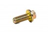 M10x25 Flanged Hex Head Bolt