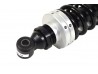Adjustable Rear Spring and Damper, Wide Duratec Sport