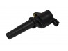 Ignition Coil Duratec