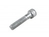 Bolt - Caphead - M10x45mm